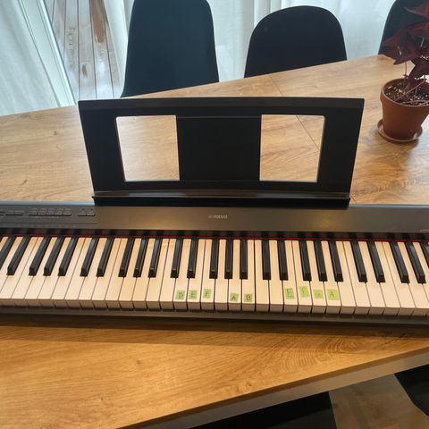 Yamaha Piaggero NP-12