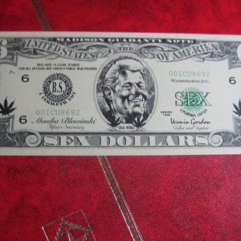 6 Dollars   Monica Blowinsky unc