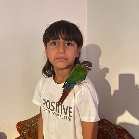 Conure