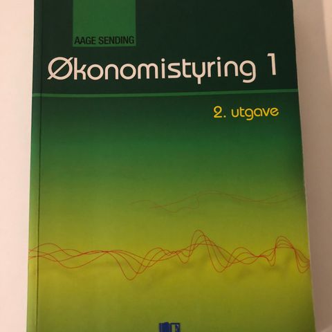 Økonomistyring