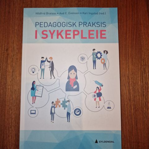 Pedagogisk praksis i sykepleie