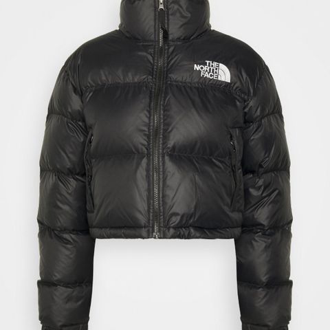 The north face dunjakke