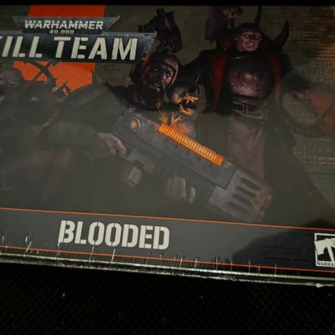 Warhammer 40K Kill Team Blooded