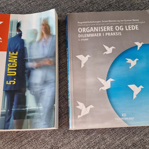 Psykologi i organisasjon og ledelse / organisere og lede