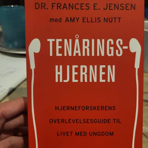 Tenåringshjernen - hjerneforskerens overlevelsesguide til livet med ungdom