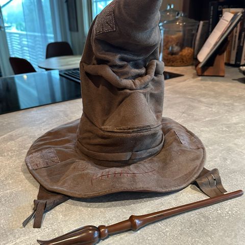 Harry Potter interaktiv hatt