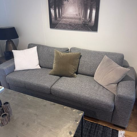 Sofa, bord og gulvteppe