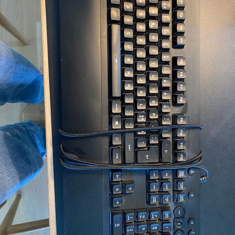 Logitech G213 Gaming Tastatur