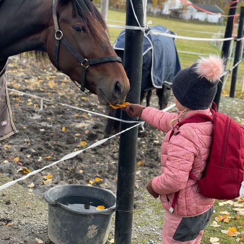 Super skalljakke, skallbukse og overtrekksbukse med shorts