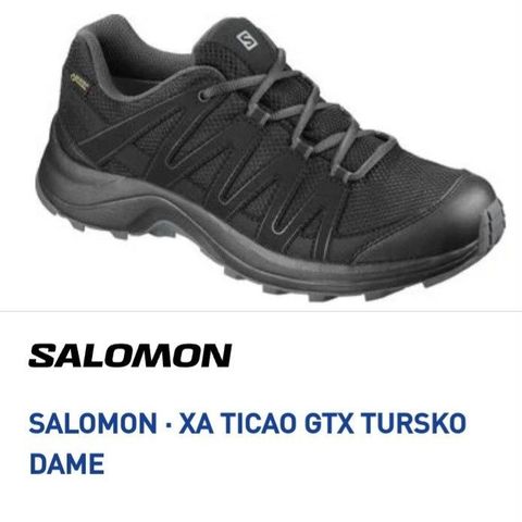 NY tur sko SALOMON    XA TICAO GTX W     str 38