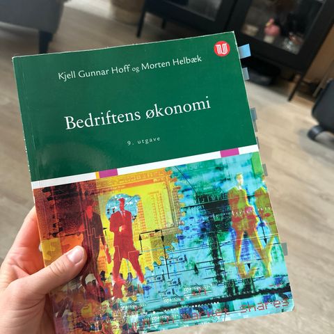 Bedriftens økonomi