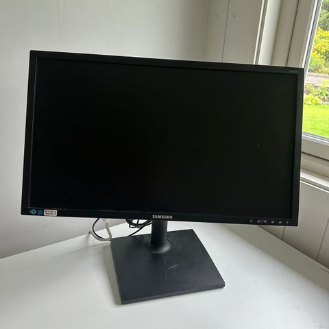 Samsung skjerm S24E450