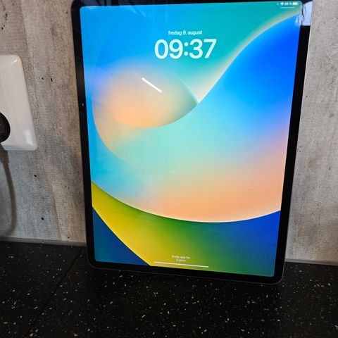 Ipad pro 12,9 tredje gen