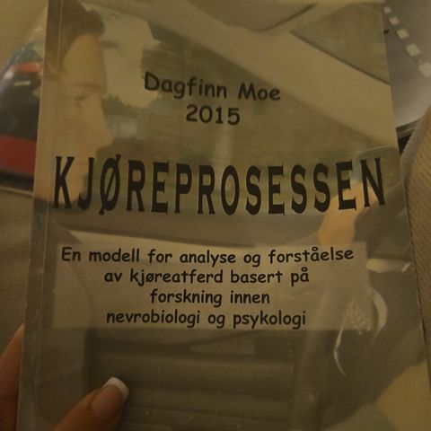 Kjøreprosessen