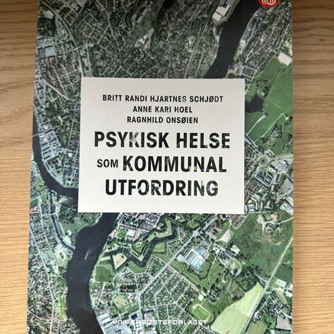 Psykisk helse som kommunal utfordring