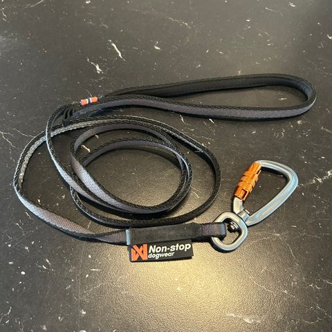 Non-Stop Move Leash