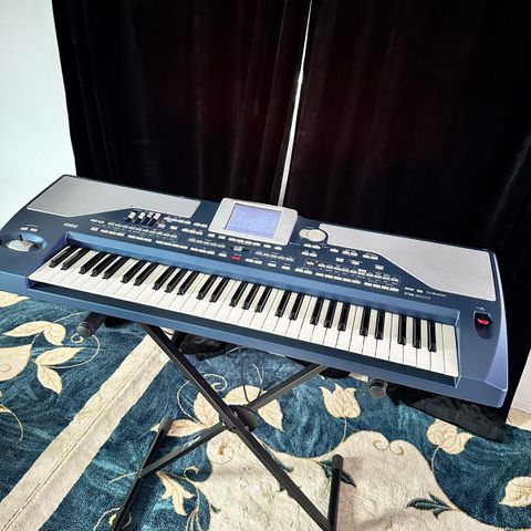 KORG PA800