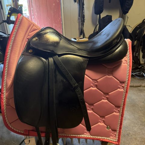 Prestige Top Dressage +++