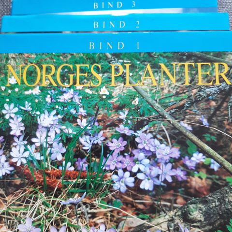 Norges planter.