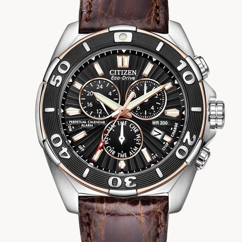 Citizen Eco-drive Wr200