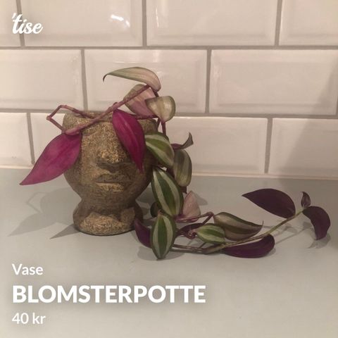 Blomsterpotte til stilklinger