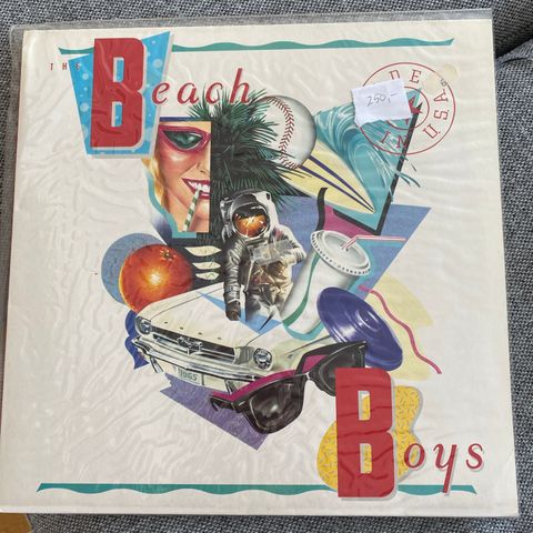 The Beach Boys