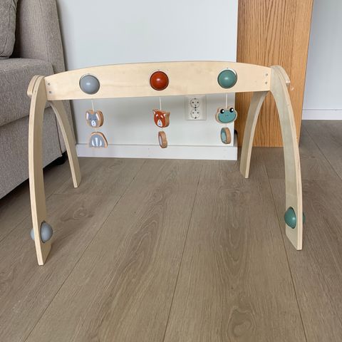 Kjempesøt babygym