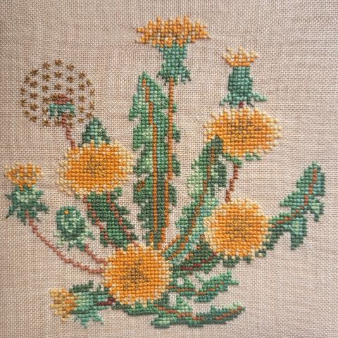 Broderi av løvetann 15,5 x 15,5 cm