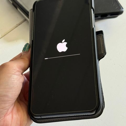 iPhone 11 pro Max 256GB