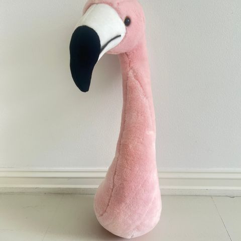 Brigbys flamingo