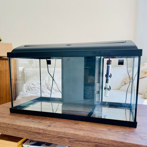 Akvarium pent brukt 54 liter 60x30x30 cm