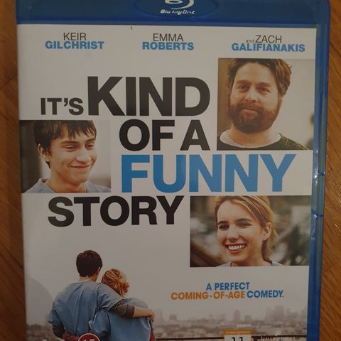 IT'S KIND OF A FUNNY STORY (2010)