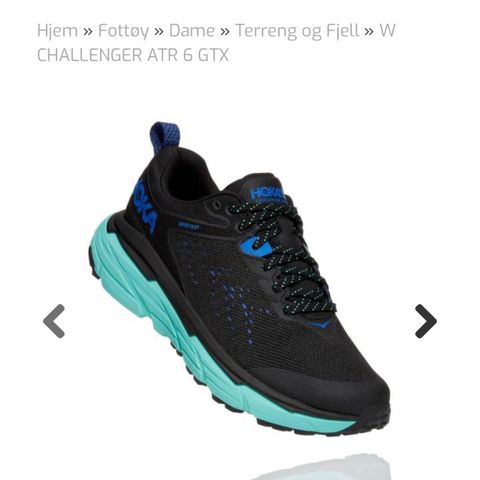 Hoka Gore-tex dame