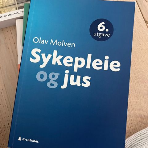 Sykepleie og jus- 2022