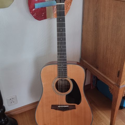 Ibanez 12 Strenger