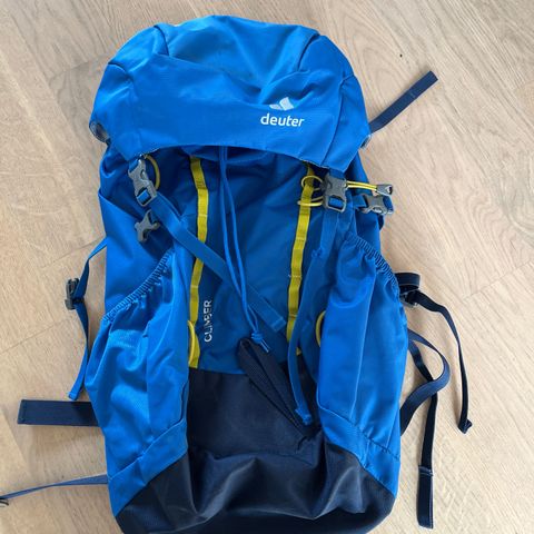 Deuter Climber 22 barnesekk