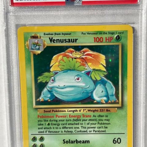 Ønsker å kjøpe en PSA 6 base set Venusaur