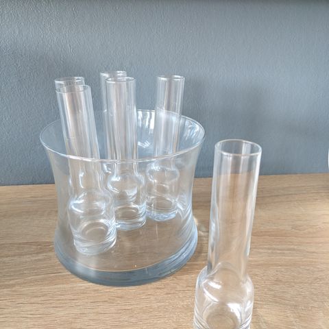 Shott /velkomst glass i beholder