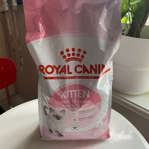 Royal Canin Kitten 1,7kg