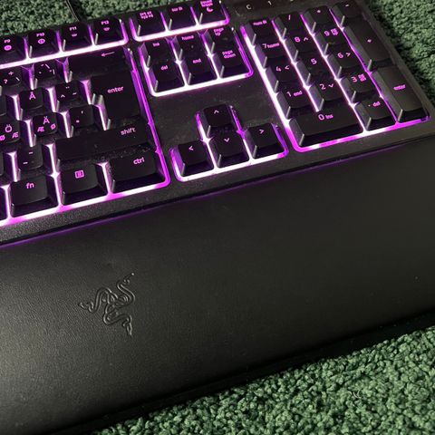 Razer Tastatur