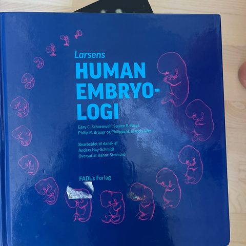 Human embryologi