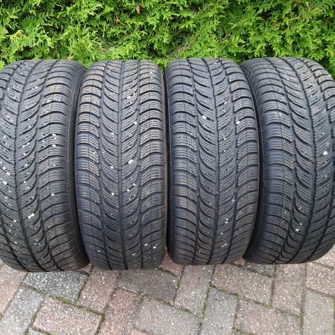 Sava Eskimo S3+ 205/55 R16