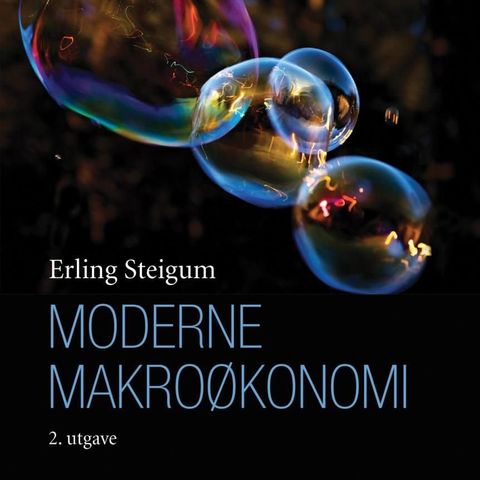 Moderne Makroøkonomi, Erling Steigum 2. utgave