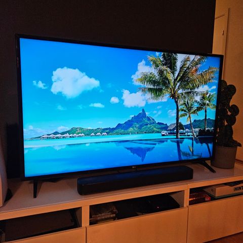 LG 55" TV