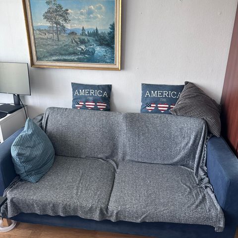 Sovesofa