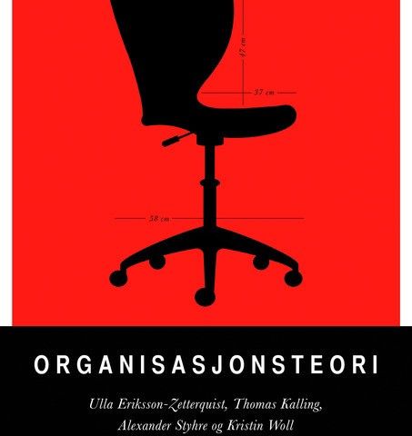 Organisasjonsteori - i god stand