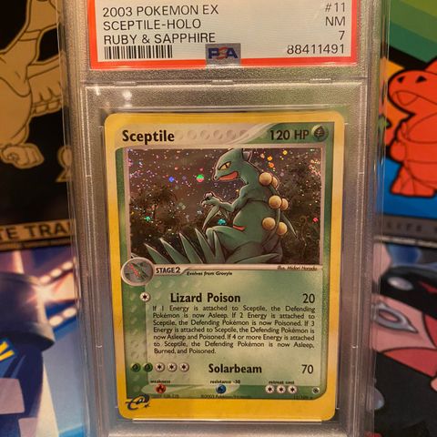 Sceptile #11 Holo