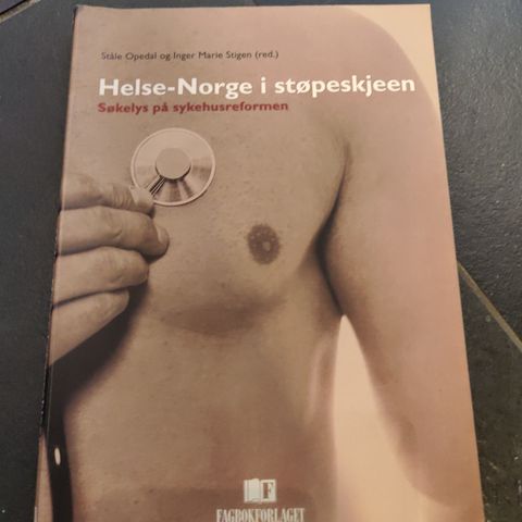 Helse-Norge som støpeskjeen