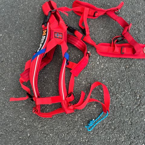 NonStop Hundesele Combined Harness size 6