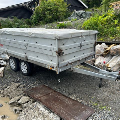 GAUPEN 2000kg Stor Boggi med Påbyggingslemmer